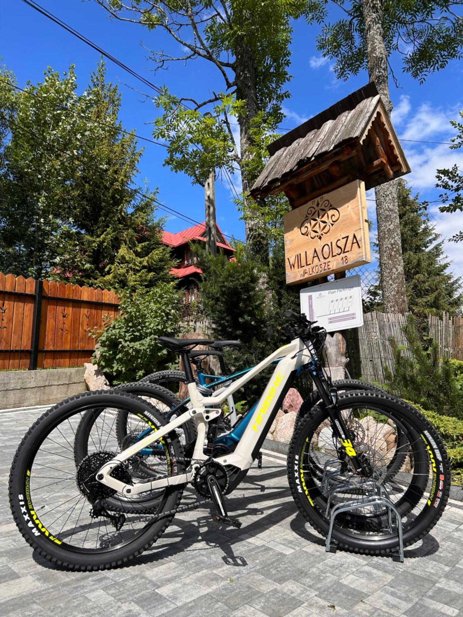 Apartamenty Willa Olsza Wood House & Mountain View & Sauna Zakopane Exterior foto